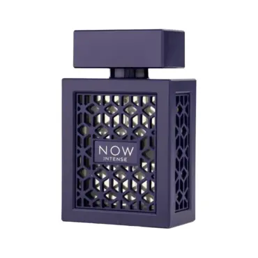 Ανδρικό άρωμα Rave Now Intense EDP 100 ml.